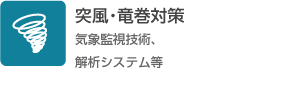 突風・竜巻対策（気象監視技術、解析システム等）